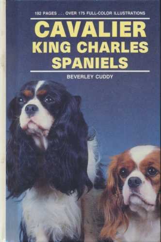 Cavalier King Charles Spaniels Cuddy, Beverley