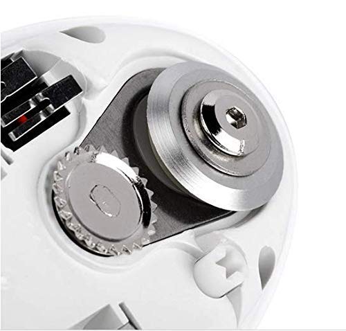 The Country and the City