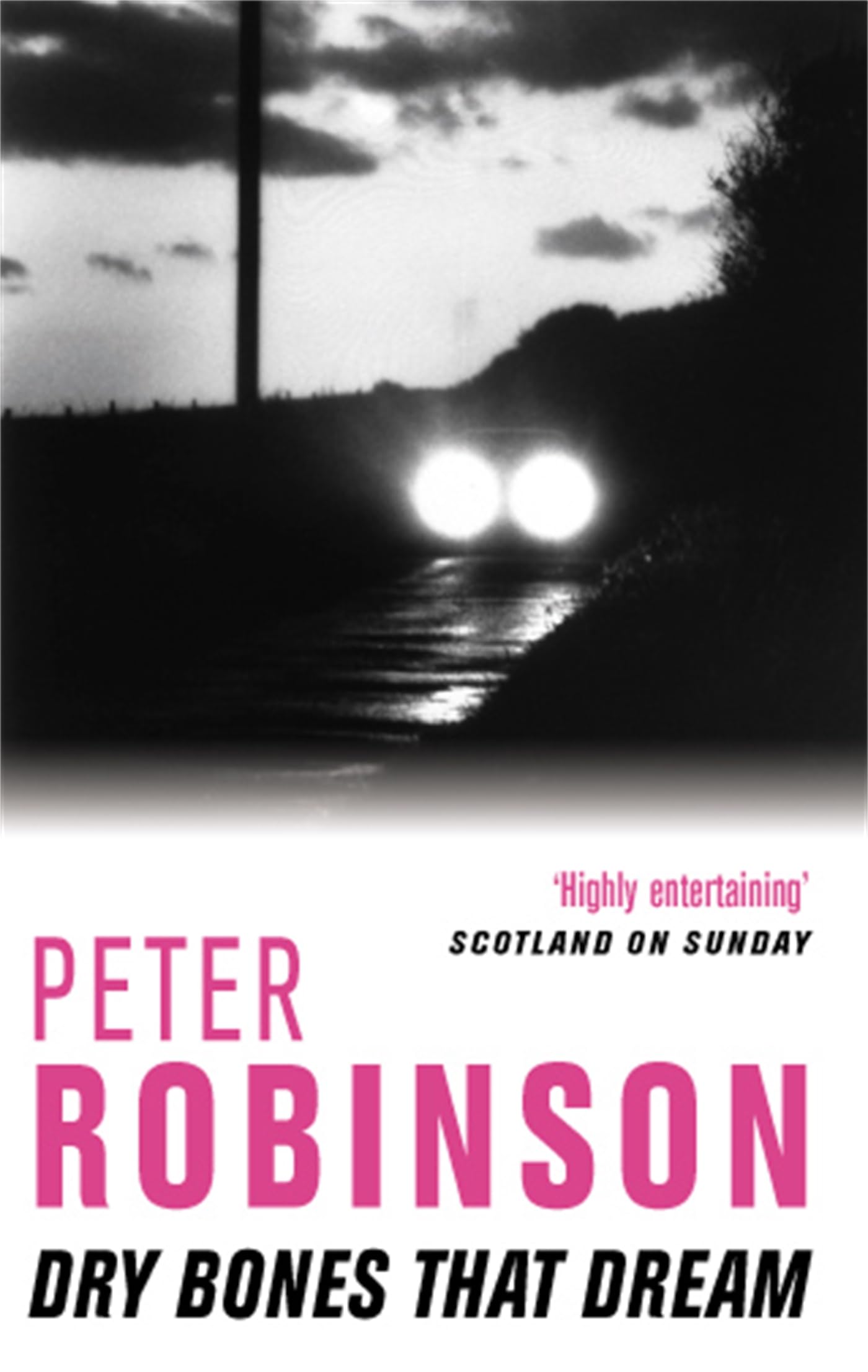 Dry Bones That Dream: The 7th novel in the number one bestselling Inspector Alan Banks crime series