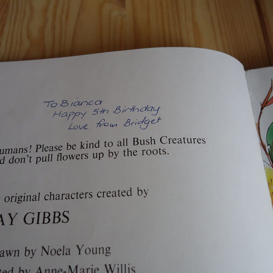 Snugglepot Meets Mr Lizard Willis, Anne-Marie; Gibbs, May and Young, Noela