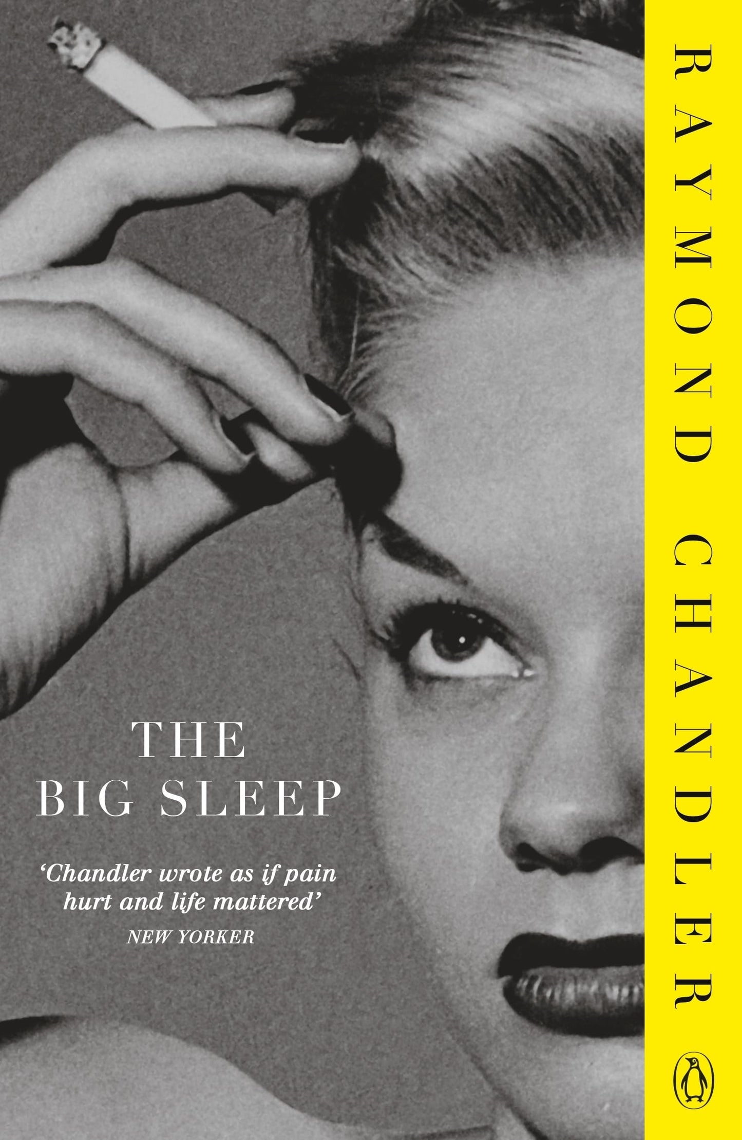 The Big Sleep: Bill Amberg for Penguin Classics