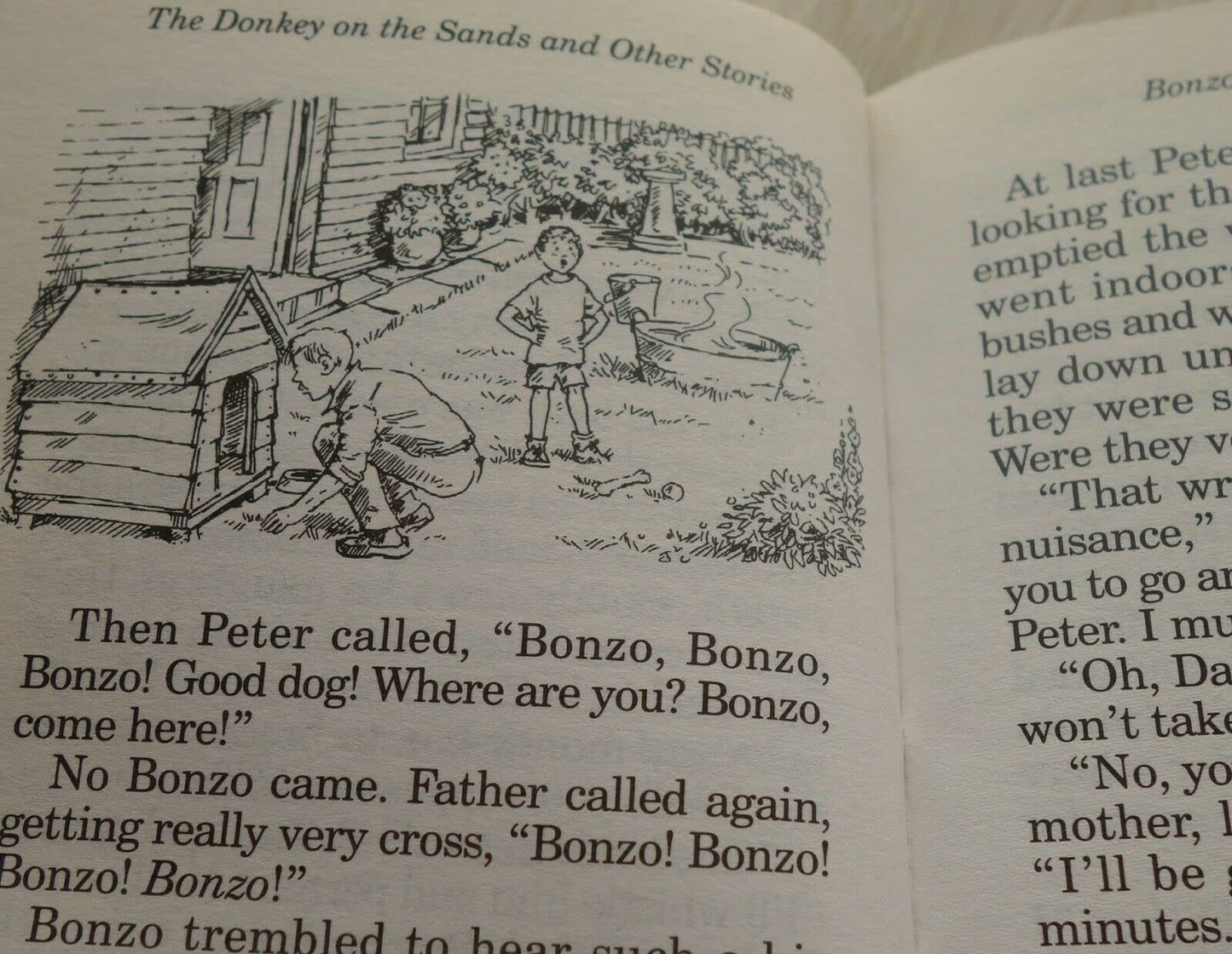Popular Reward: the Donkey on the Sands Blyton, Enid and Bradley, Maureen