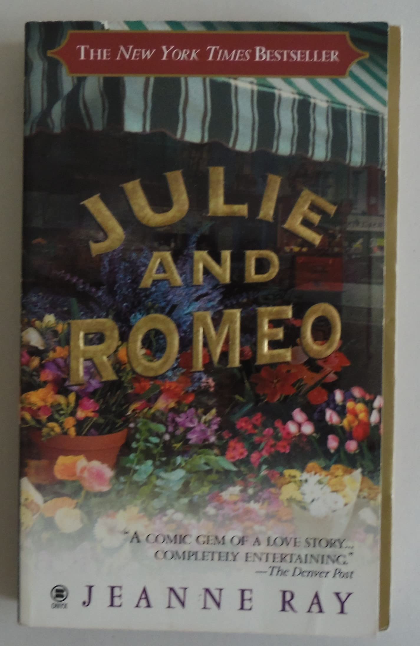 Julie and Romeo: A Novel Ray, Jeanne