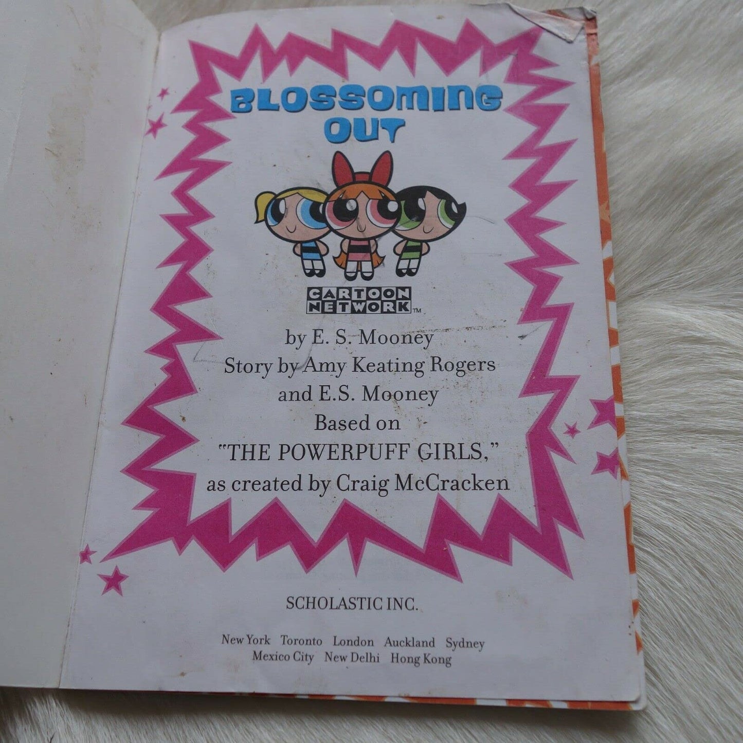 Chapter Book: 4 Rogers, Amy