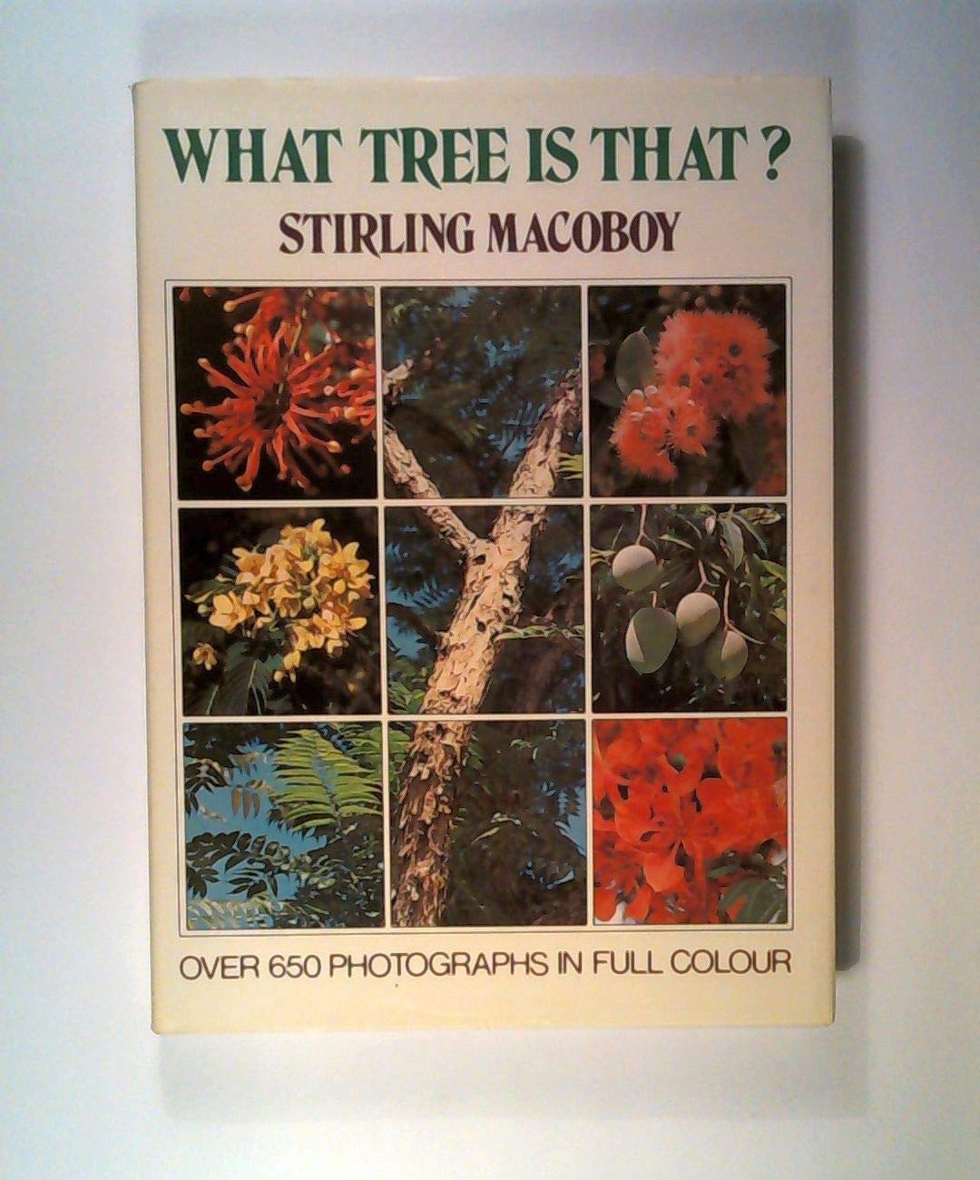 What Tree Is That