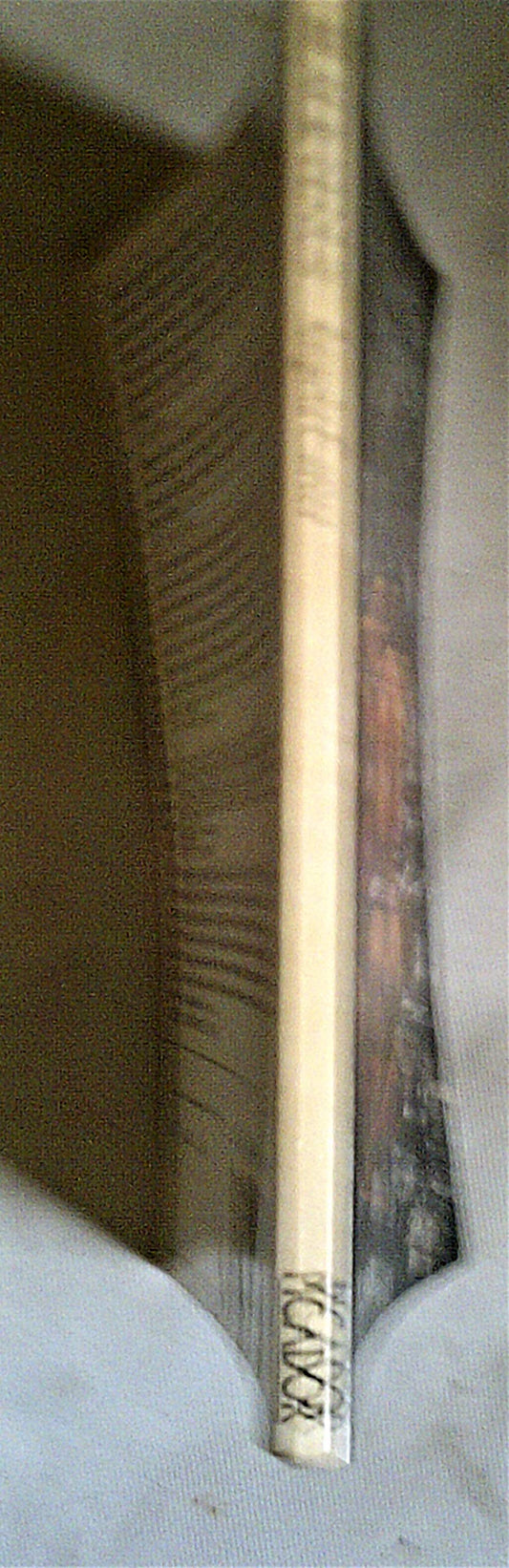 Black Venus Pb Carter, Angela