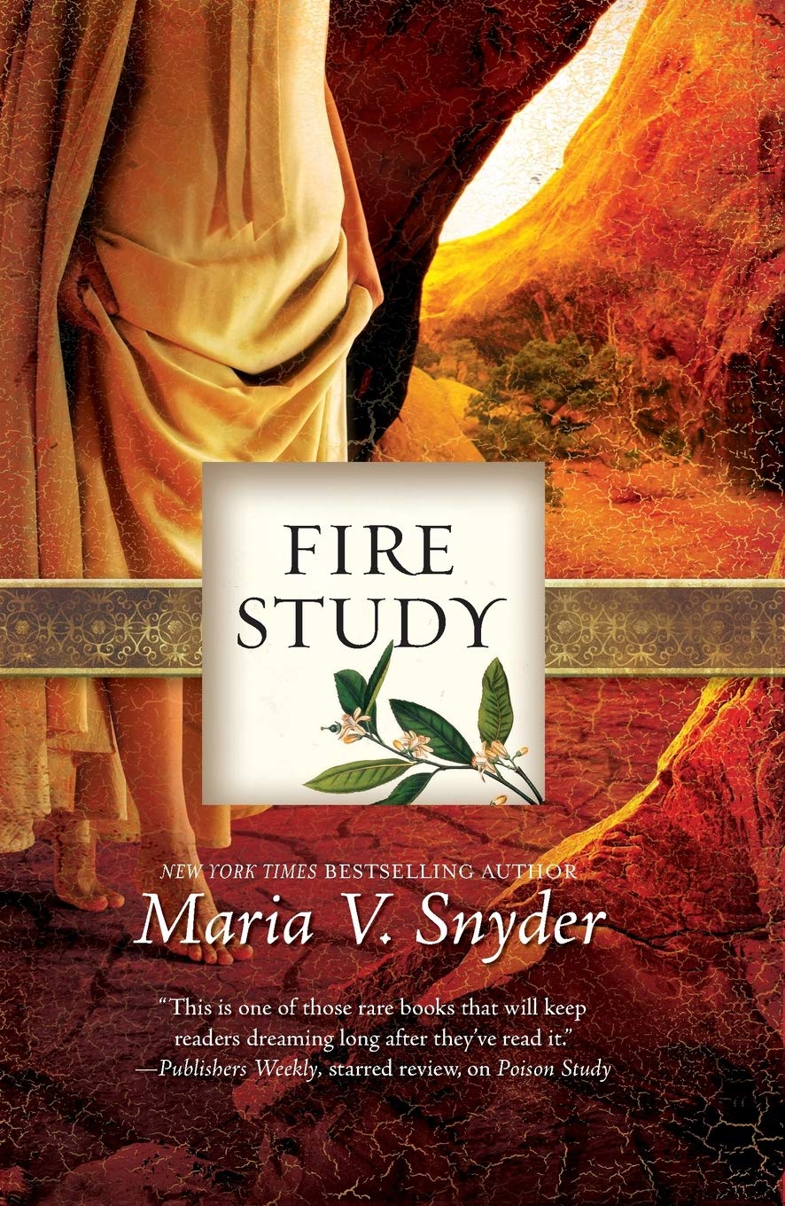 Fire Study (Original) Snyder, Maria V.