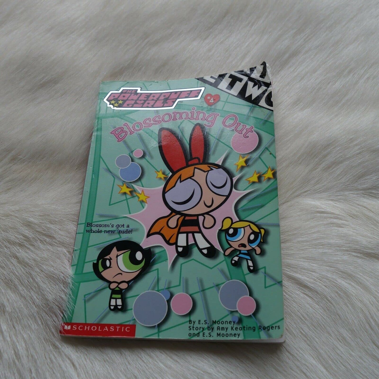 Chapter Book: 4 Rogers, Amy