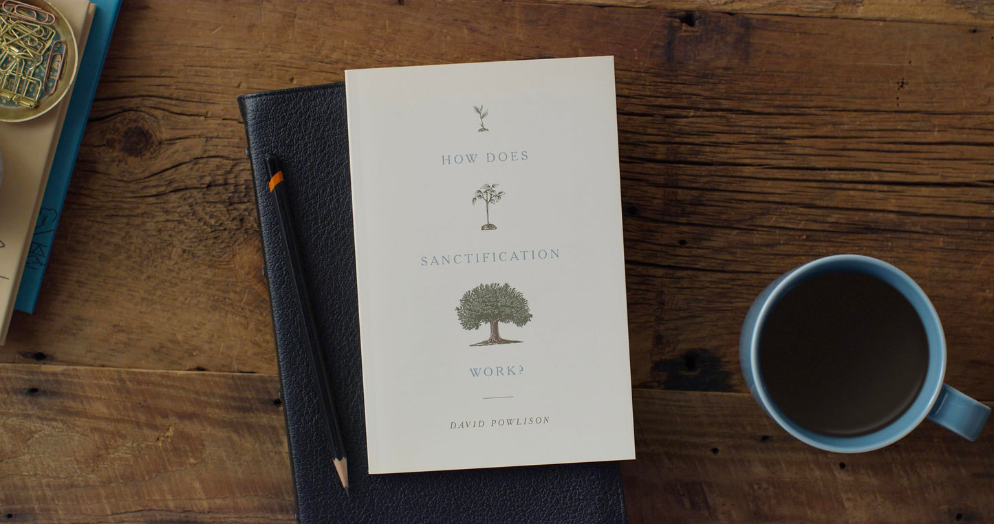 How Does Sanctification Work?