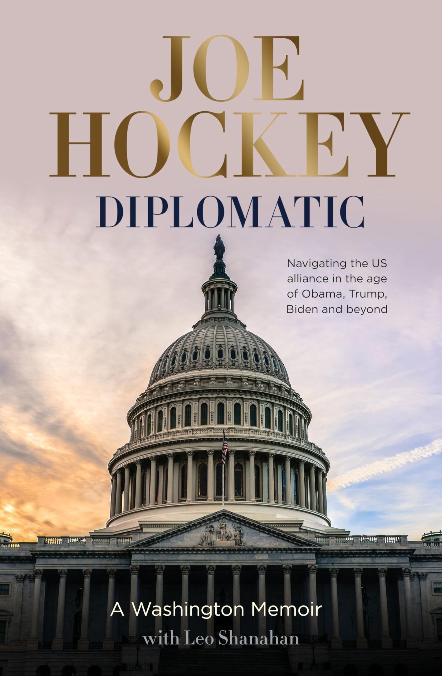 Diplomatic: A Washington memoir Hockey, Joe and Shanahan, Leo