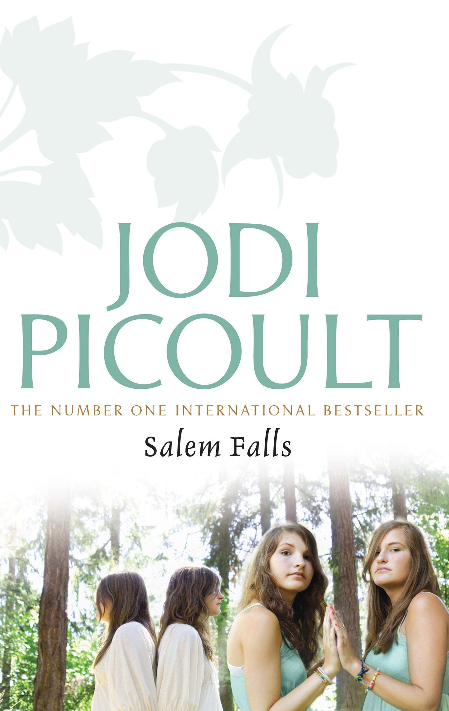 Salem Falls Picoult, Jodi