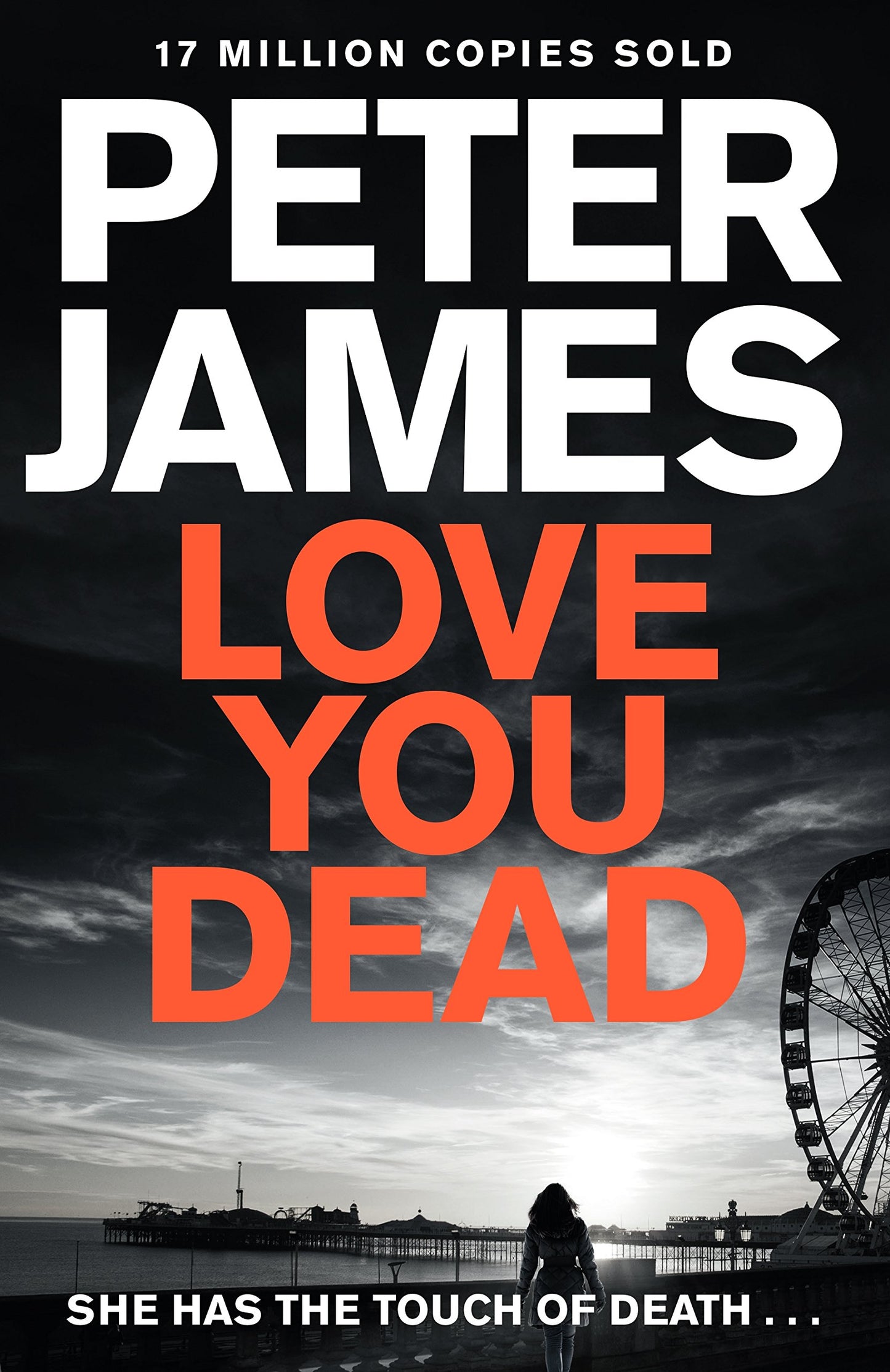 Love You Dead: A Roy Grace Novel 12