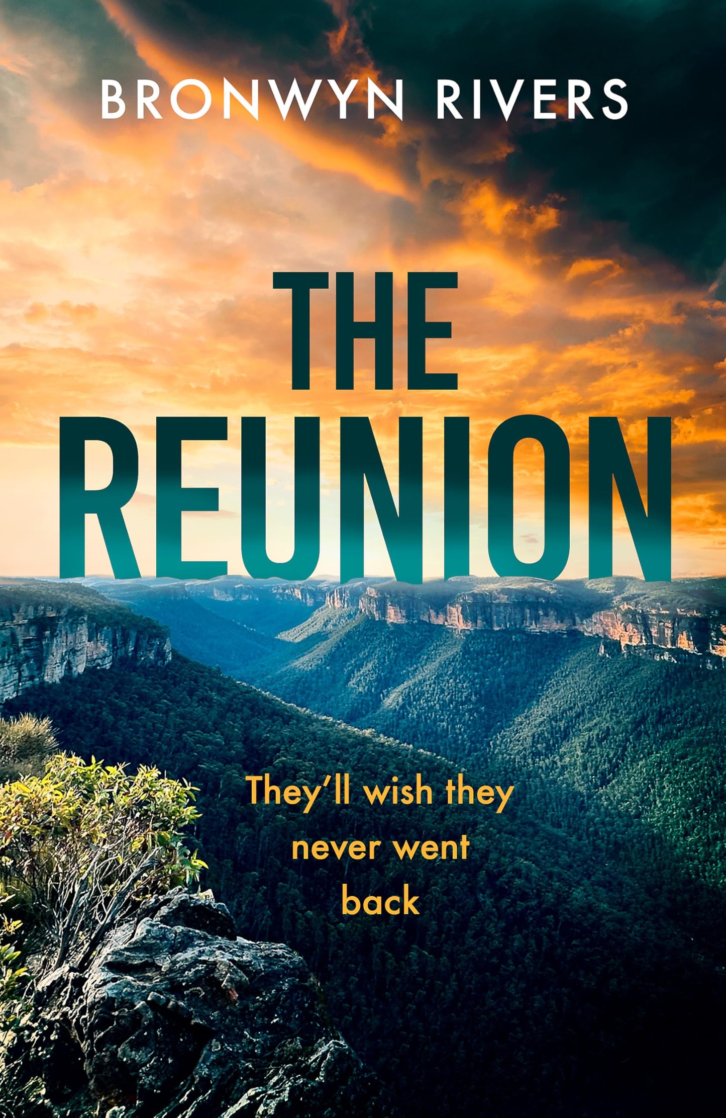 The Reunion: A gripping, atmospheric thriller with a jaw-dropping twist