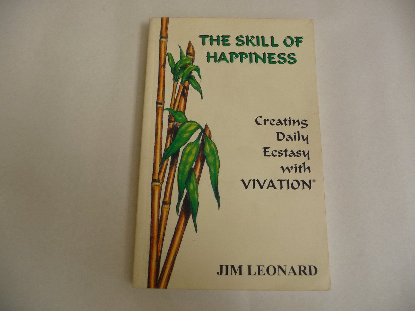 The Skill of Happiness: Creating Daily Ecstasy With Vivation Leonard, Jim