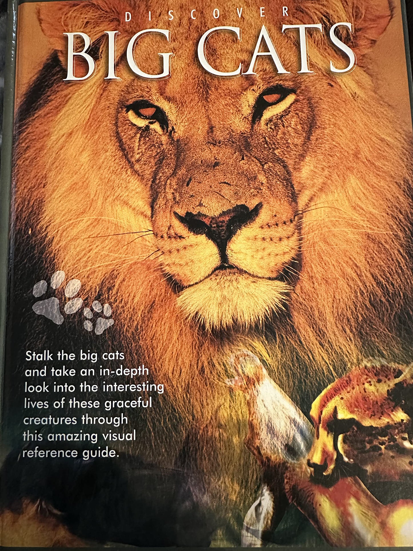 Leapfrog Learners - Big Cats