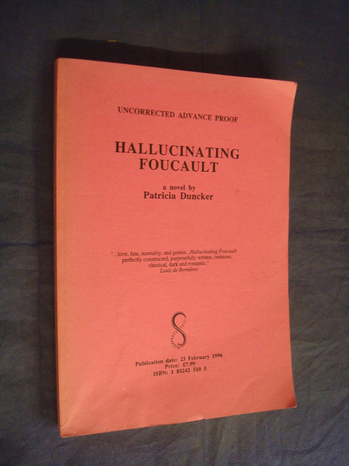 Hallucinating Foucault Duncker, Patricia