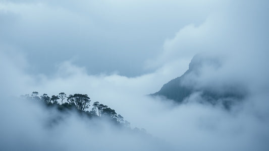 Nordic Detectives for Blue Mountains Weekends