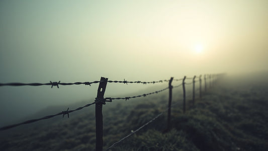 WWI Trenches to Cold War Paranoia