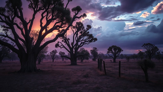 Patrick White's Australian Gothic Vision