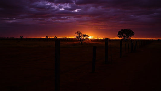 Aussie Gothic: Carey to Winton Landscape