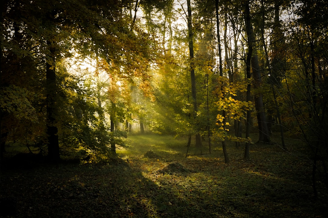 8 dark fantasy novels where magic demands a terrible price