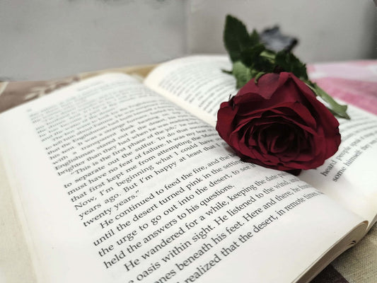 9 paranormal romances where immortals break every rule for mortals
