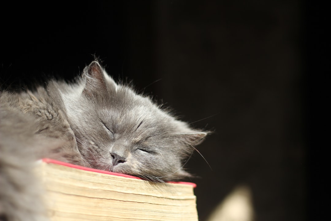 9 second-chance romances where coming home means facing everything you ran from