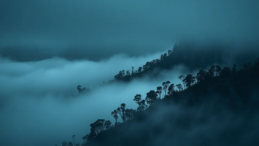 Scandi Noir for Katoomba Weekends