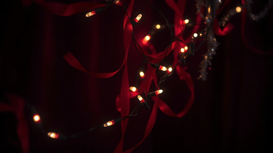 When Holiday Romance Met Danger: Xmas Heat