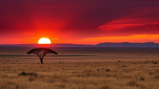Bryce Courtenay's Africa Meets Australia Epic