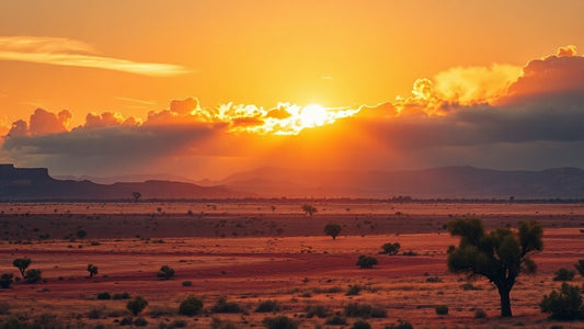Bryce Courtenay's Australian Epic Sagas