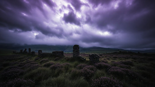 DCI Banks Yorkshire Moors Crime Collection