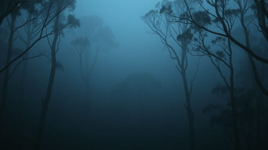 Nordic Noir Katoomba Winter Escape