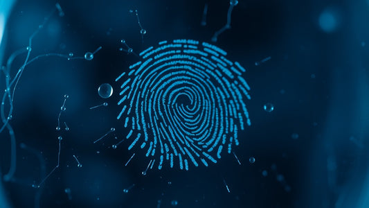 Forensic Masters: Lincoln Rhyme Thrillers