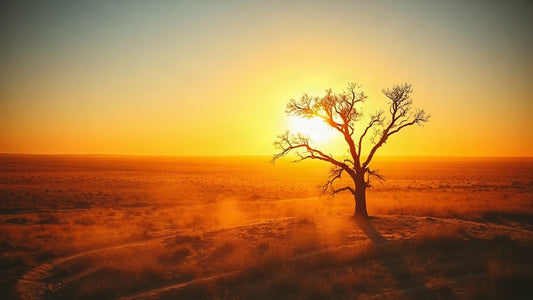 Australian Rural Romance: Small-Town Hearts