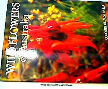 Wild Flowers of Australia