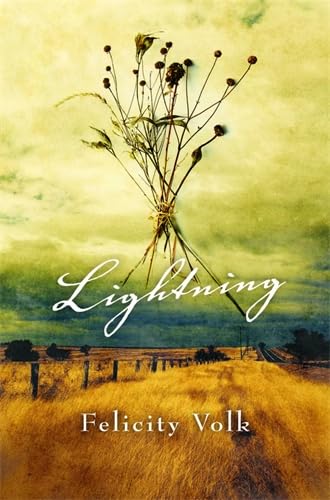 Lightning [Paperback] Volk, Felicity