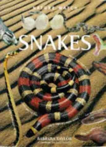 Snakes Taylor, Barbara and Chinery, Michael