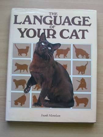 Language of Your Cat