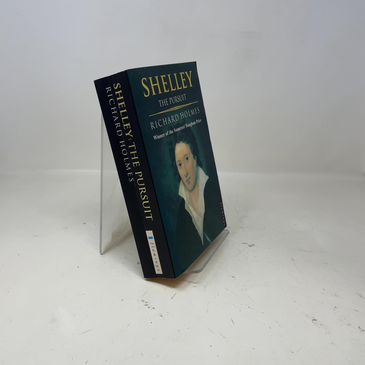 Shelley: The Pursuit