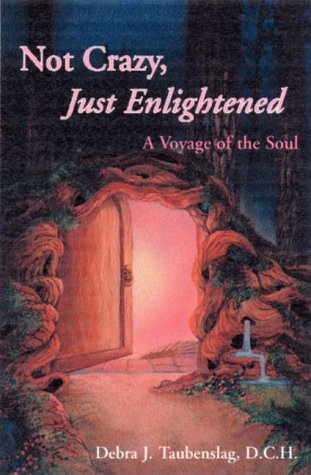 Not Crazy, Just Enlightened: A Voyage of the Soul: A Voyage for the Soul [Paperback] Debra J. Taubenslag
