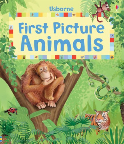 First Picture Animals Brooks, Felicity and Litchfield, Jo