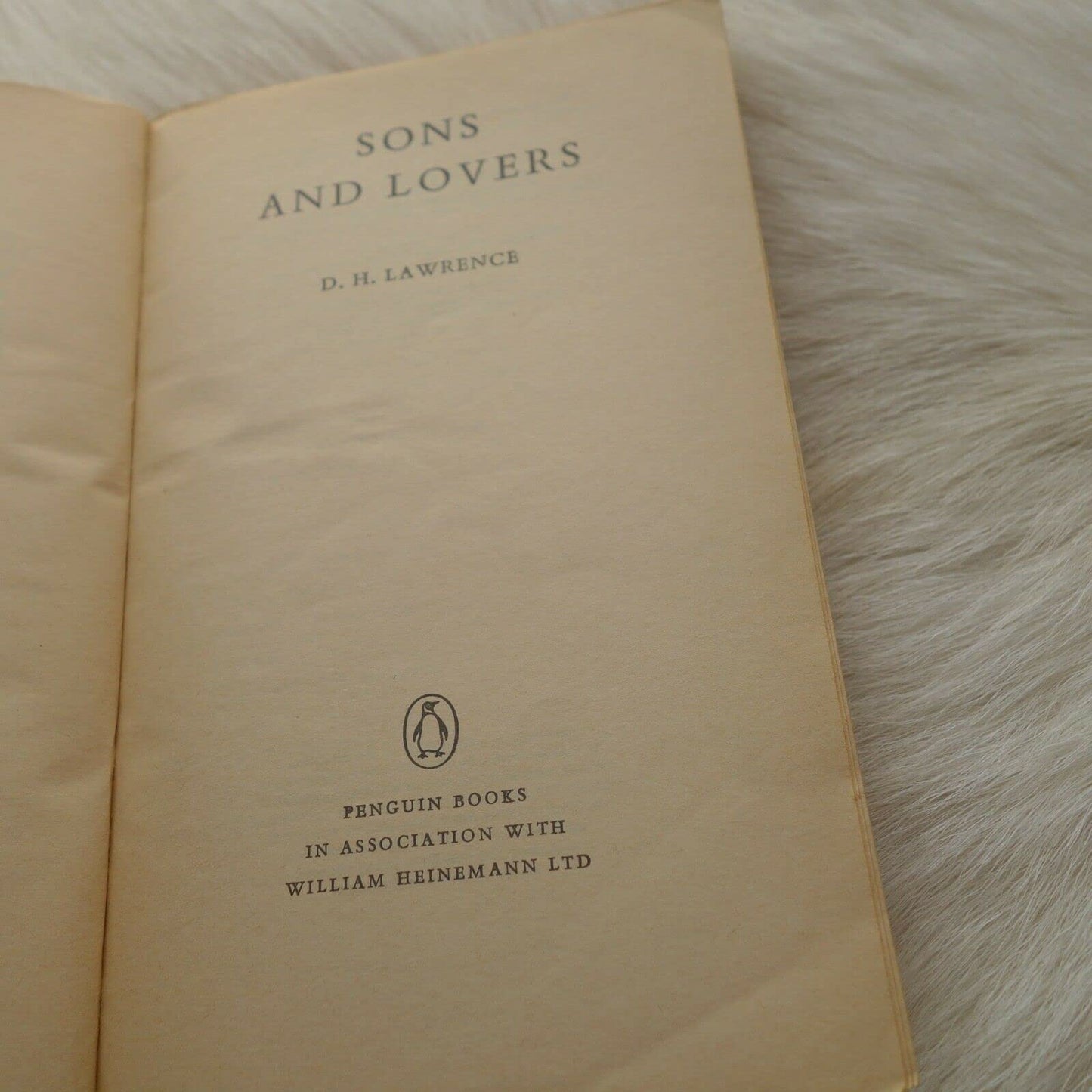 Sons And Lovers