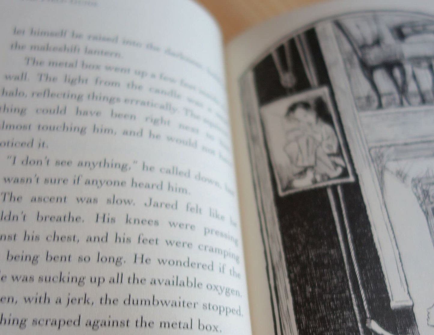 The Field Guide DiTerlizzi, Tony and Black, Holly