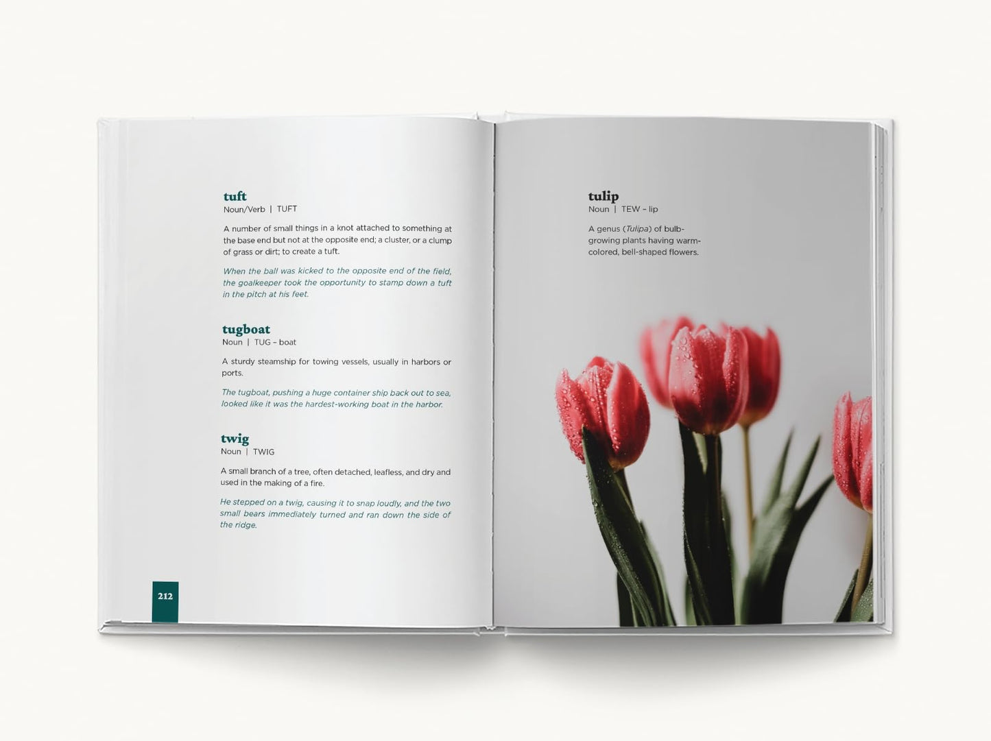 Beautiful Words: A Celebration for Word Lovers [Hardcover] Editors of Whalen Book Works