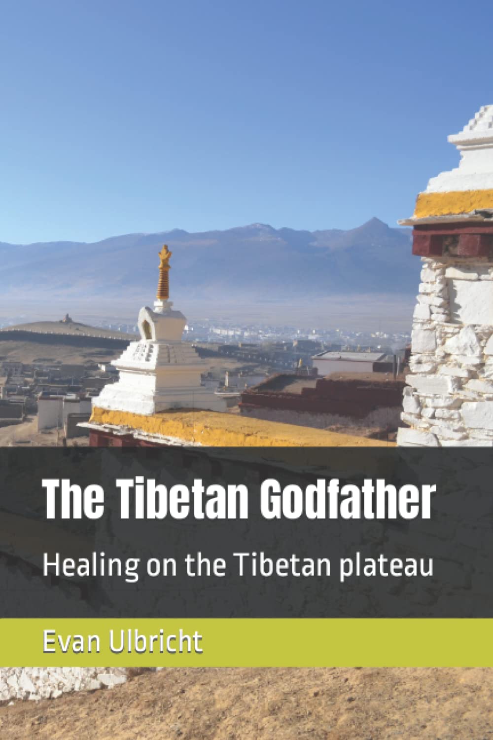 The Tibetan Godfather: Healing on the Tibetan plateau [Paperback] Ulbricht, Mr Evan Rhys and Hattaway, Paul