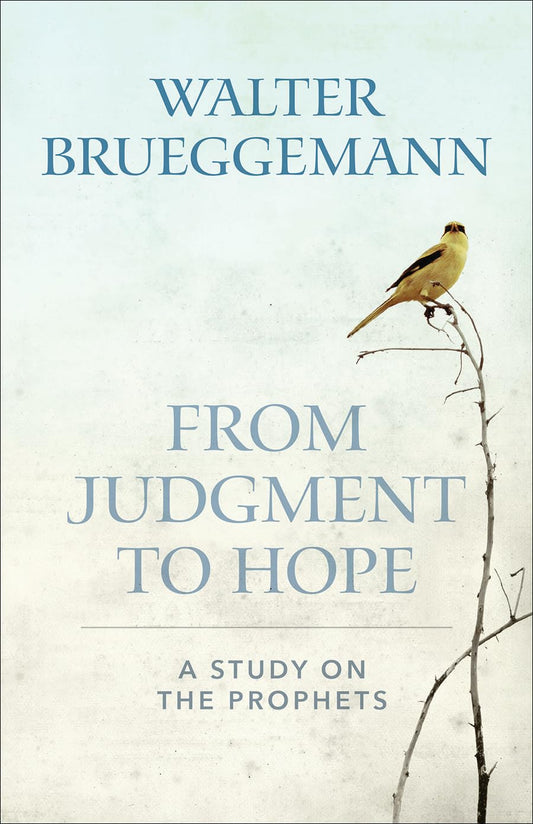 From Judgement to Hope: A Study on the Prophets [Paperback] Brueggemann, Walter
