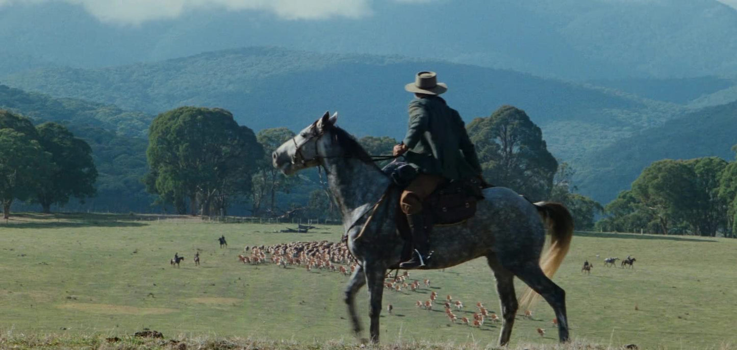 The Man from Snowy River (DVD) [DVD]