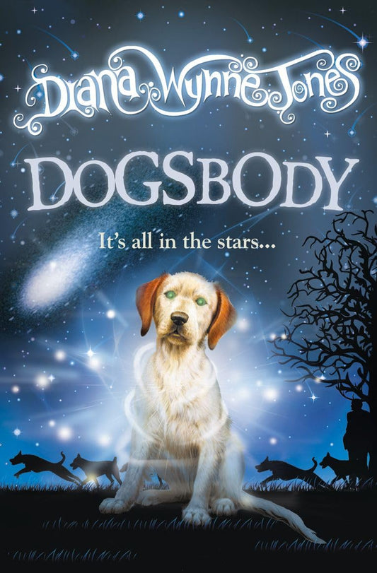 Dogsbody [Paperback] Jones, Diana Wynne