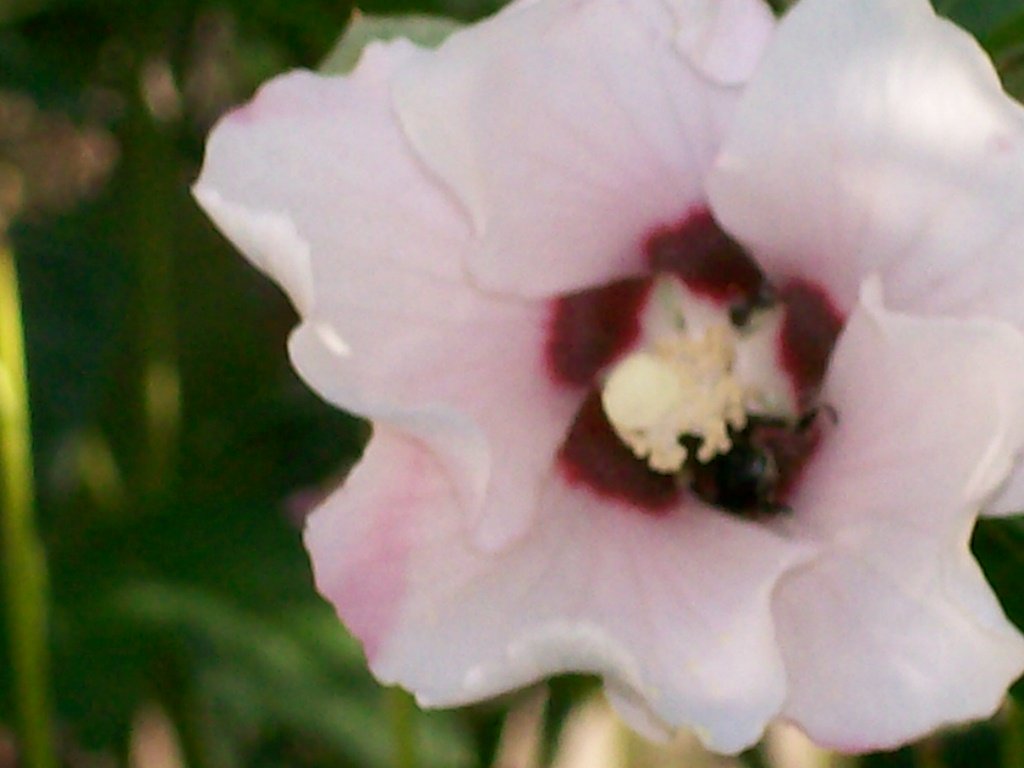 The Longest Tunnel Burgess, Alan